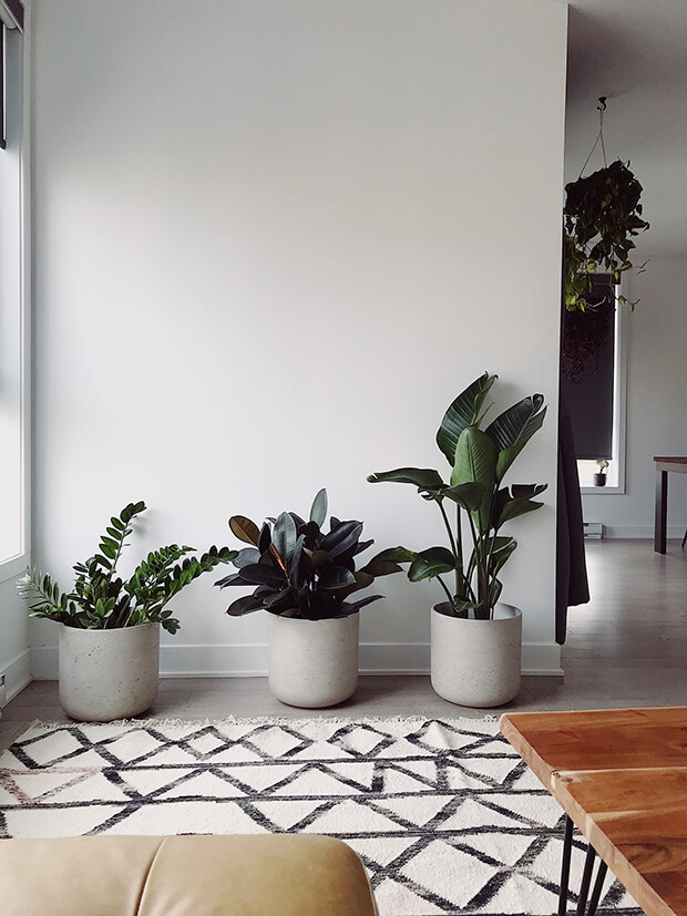 Find your ideal furniture